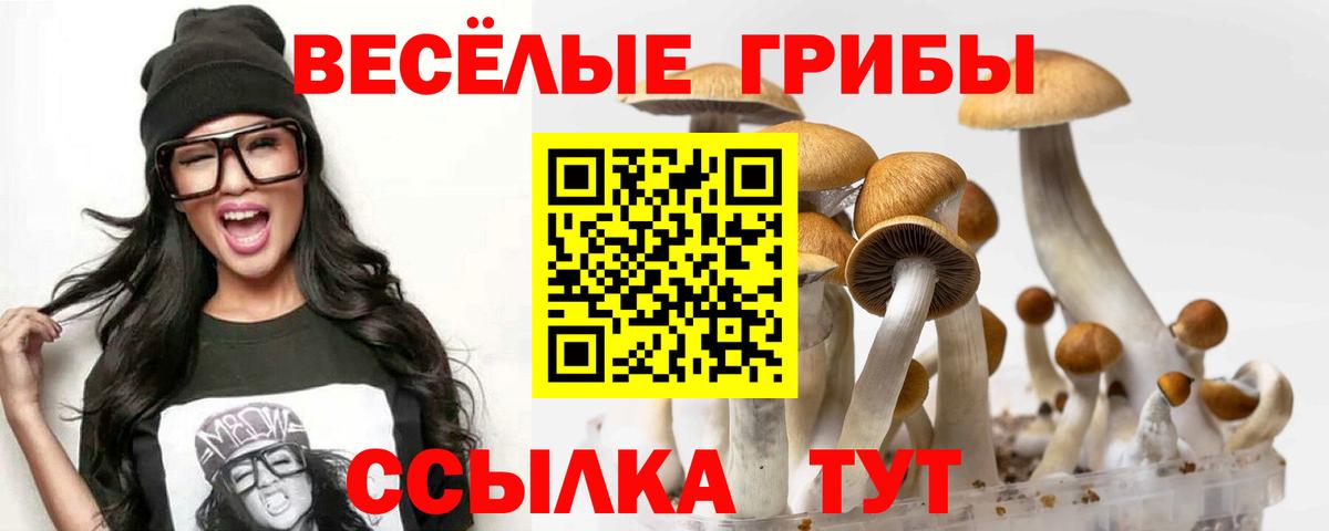 Галлюциногенные грибы мицелий Наро-Фоминск